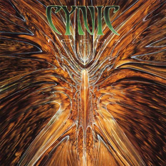 CYNIC Focus
