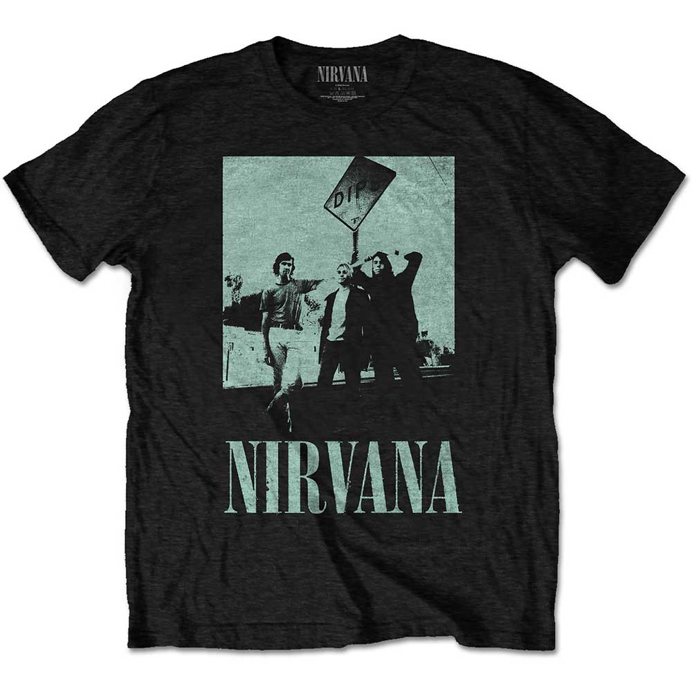 NIRVANA Dips