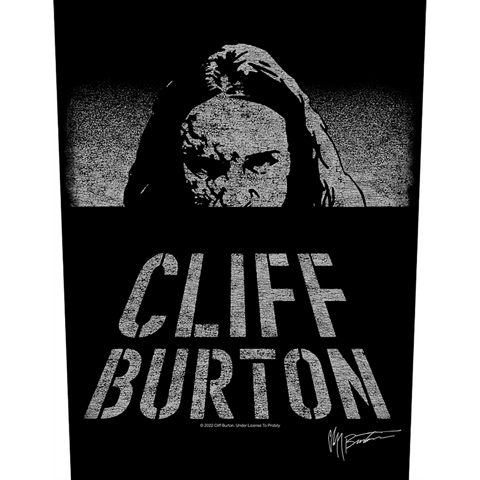 METALLICA Dawn Of Cliff