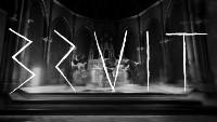 Bruit Logo