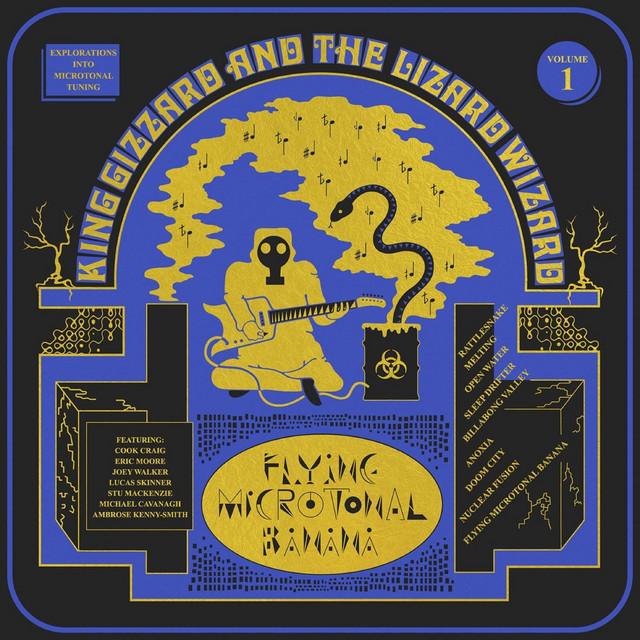 KING GIZZARD AND THE LIZARD WIZARD Flying Microtonal Banana