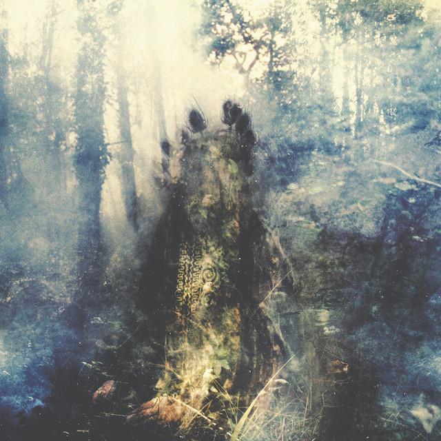 SYLVAINE Wistful