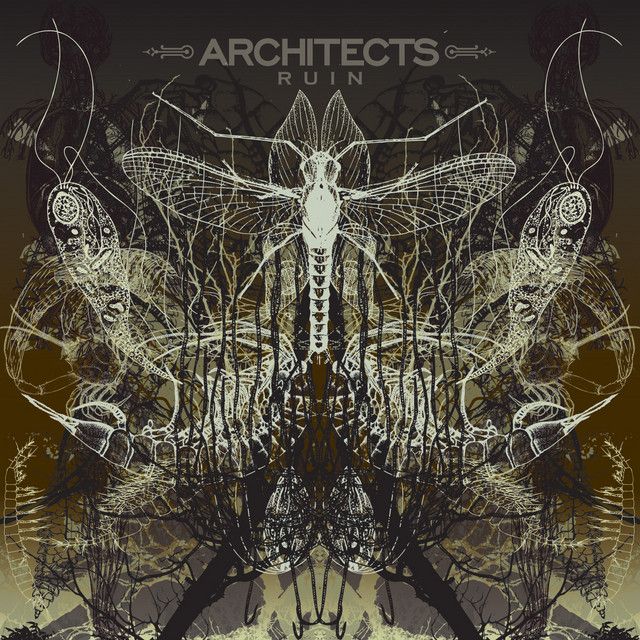 ARCHITECTS Ruin