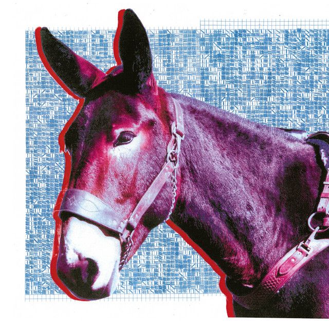 PROTOMARTYR Ultimate Success Today PROTOMARTYR Ultimate Success Today