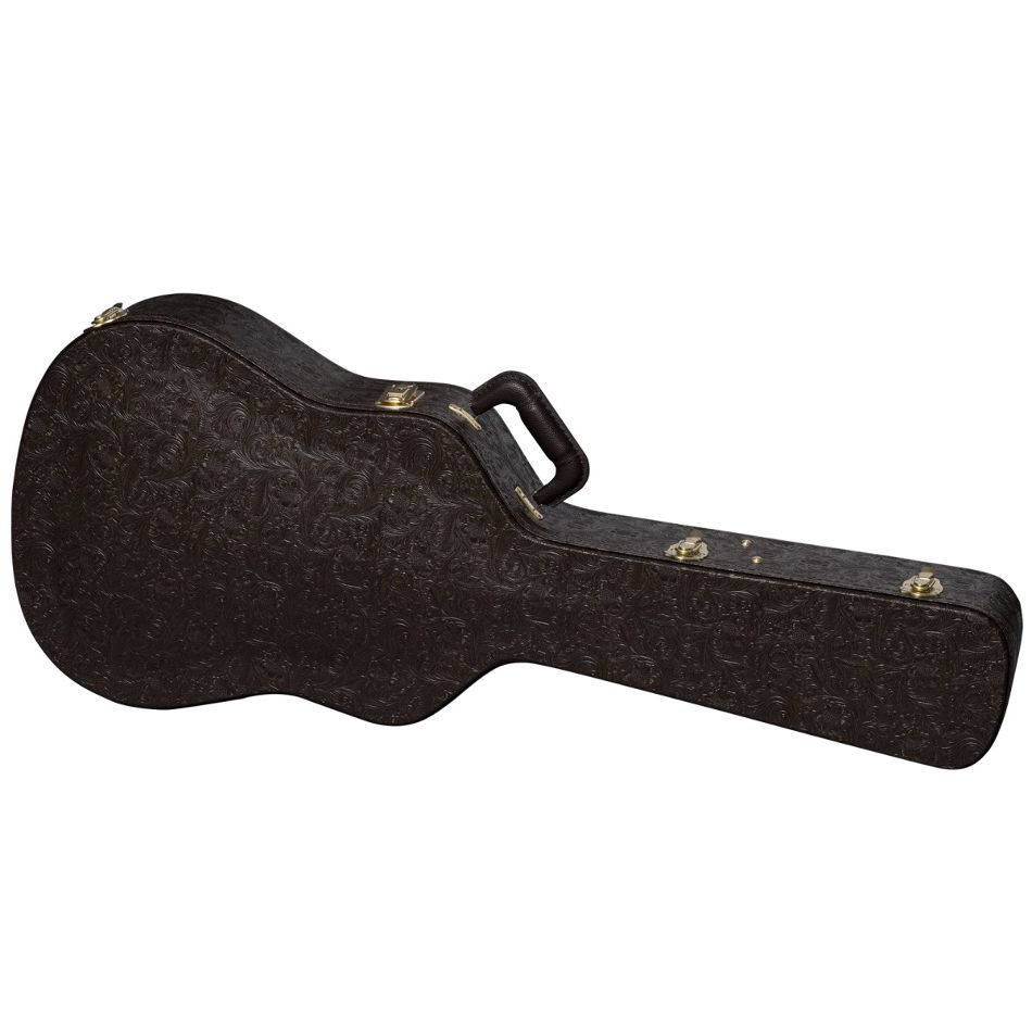 EPIPHONE Chris Stapleton Frontier case 2 EPIPHONE Chris Stapleton Frontier