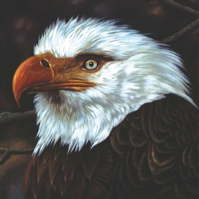 MOGWAI The Hawk Is Howling