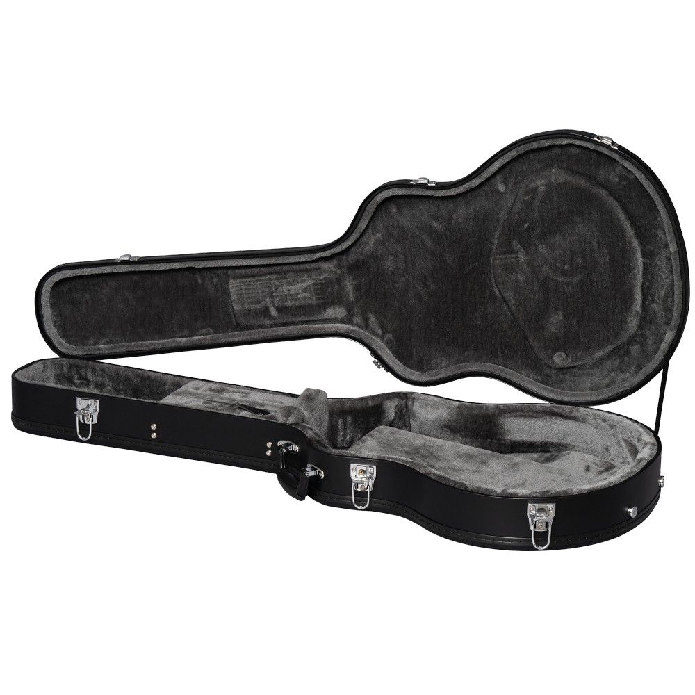 EPIPHONE Dave Grohl DG 335 case open EPIPHONE Dave Grohl DG 335
