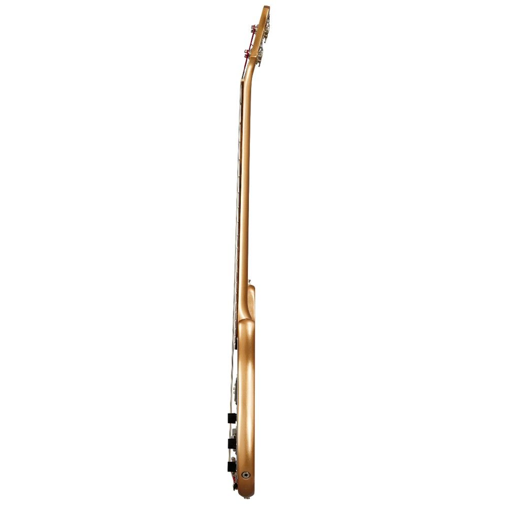 EPIPHONE Embassy Bass side EPIPHONE Embassy Bass