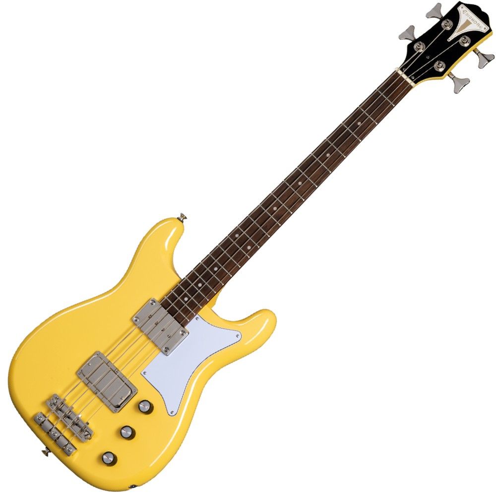 EPIPHONE Newport Bass