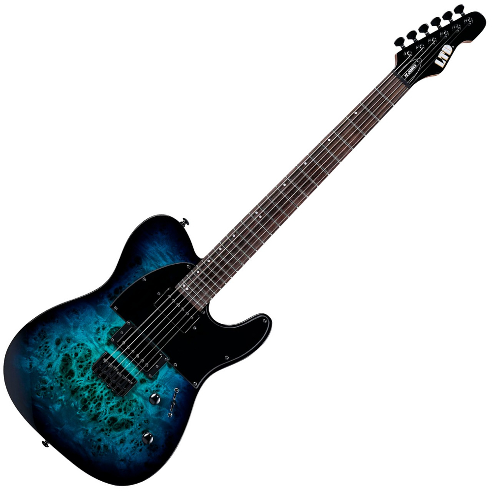 ESP LTD TE 200DX