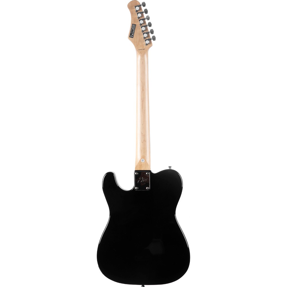 GIBSON J 45 Standard back EKO TL 300