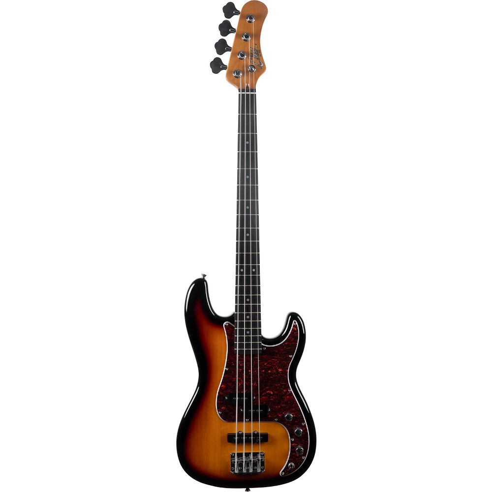 EKO PJ 300