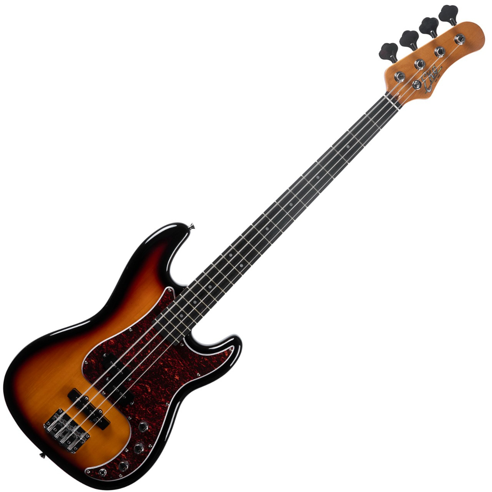 EKO PJ 300