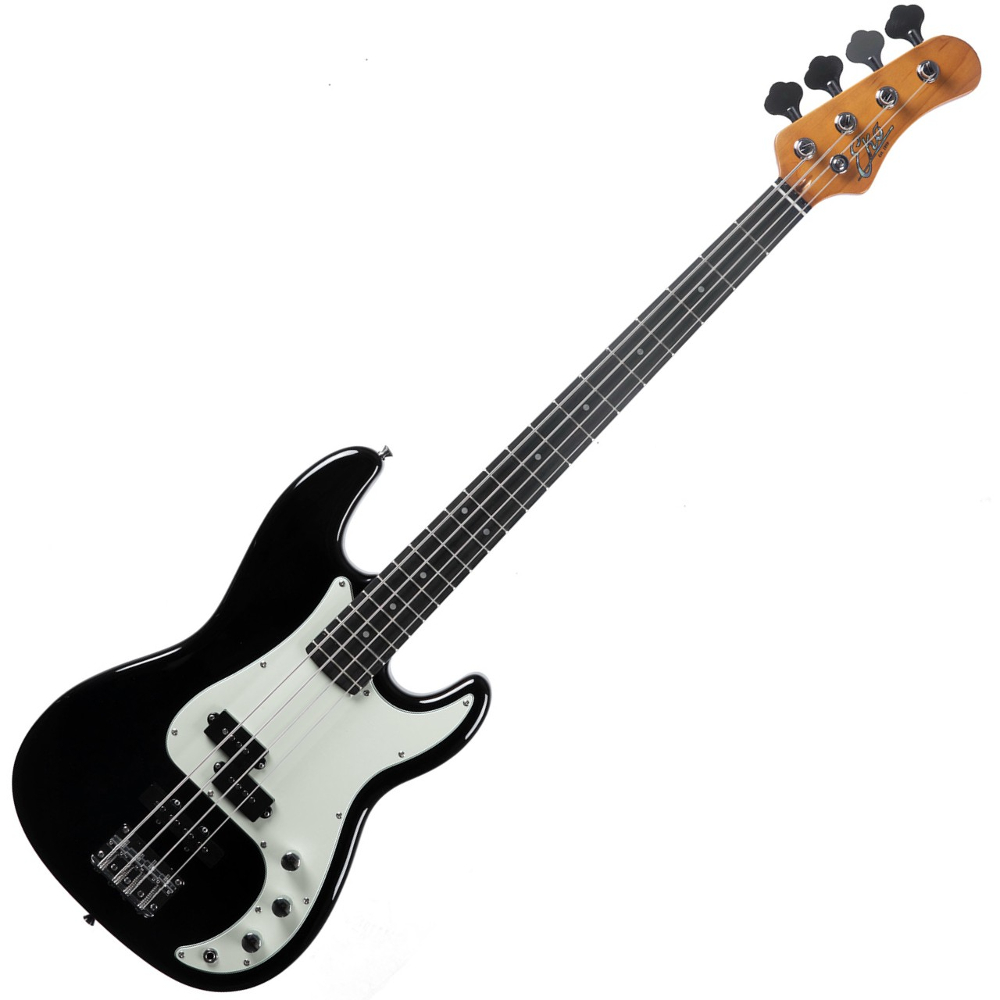 EKO PJ 300