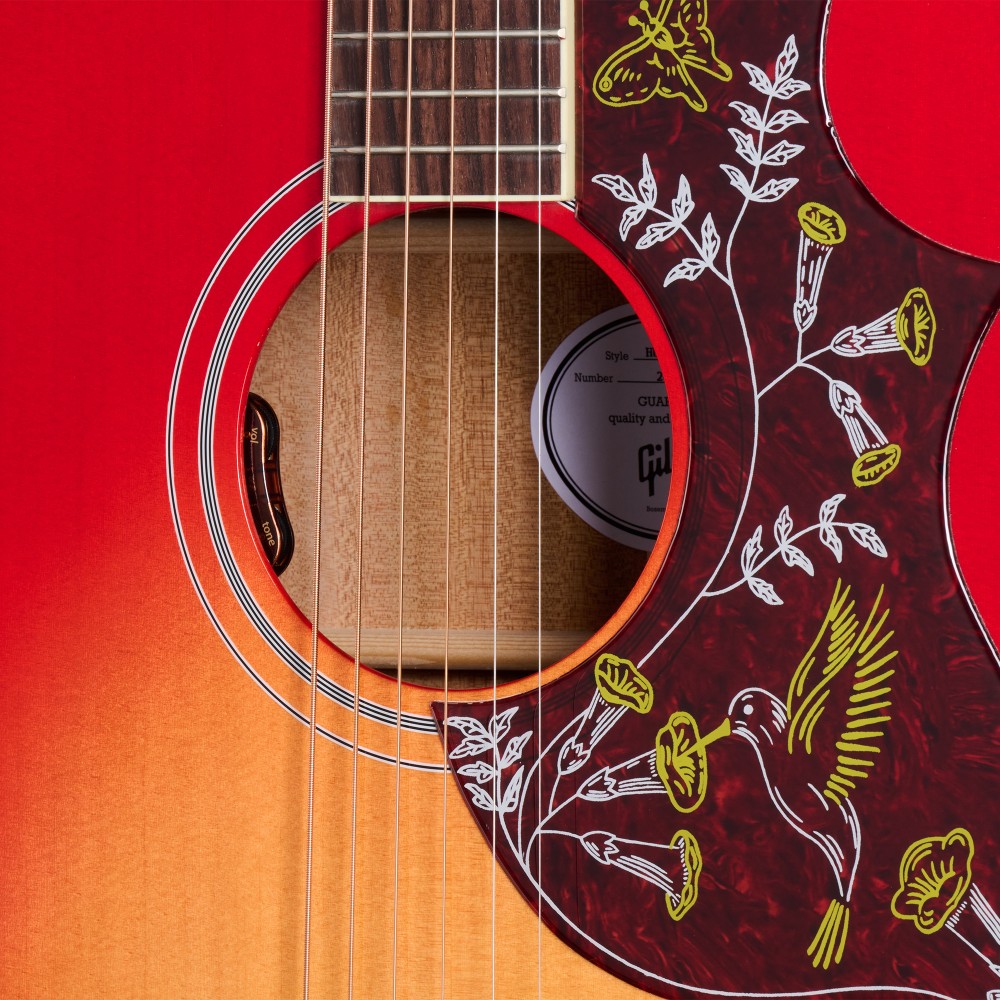 GIBSON Hummingbird Standard sh GIBSON Hummingbird Standard