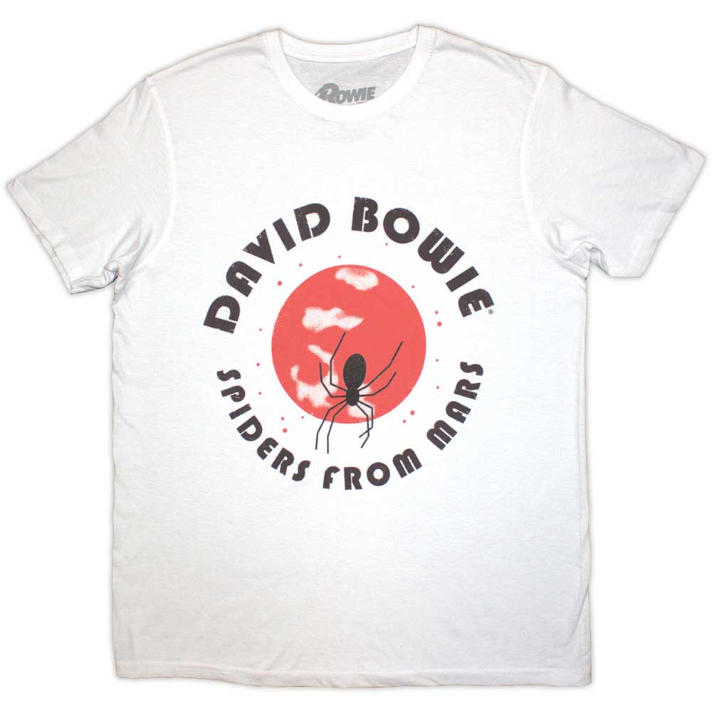 DAVID BOWIE Spiders From Mars