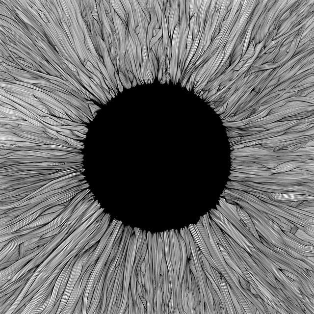 VOLA Witness