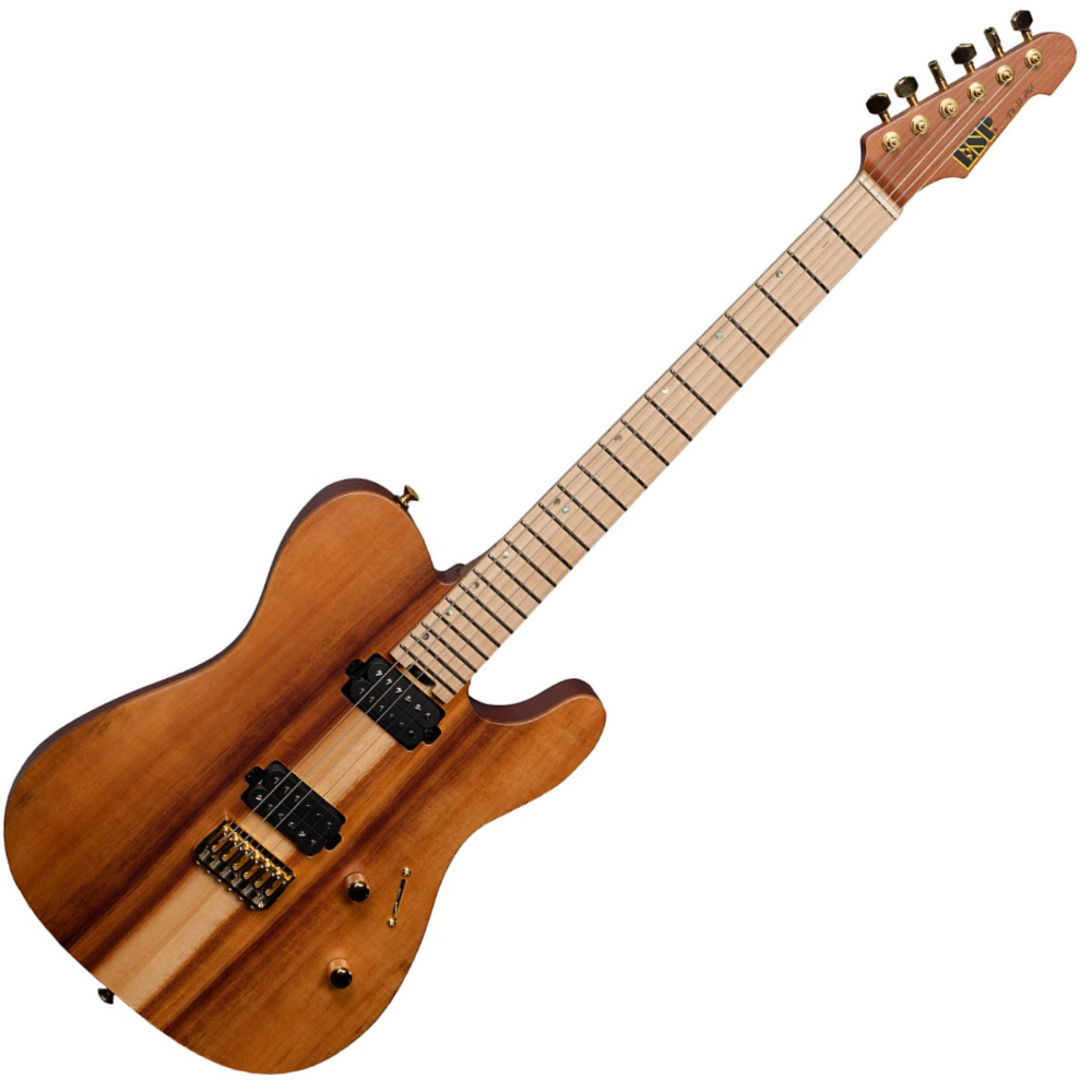 ESP USA TE II HT
