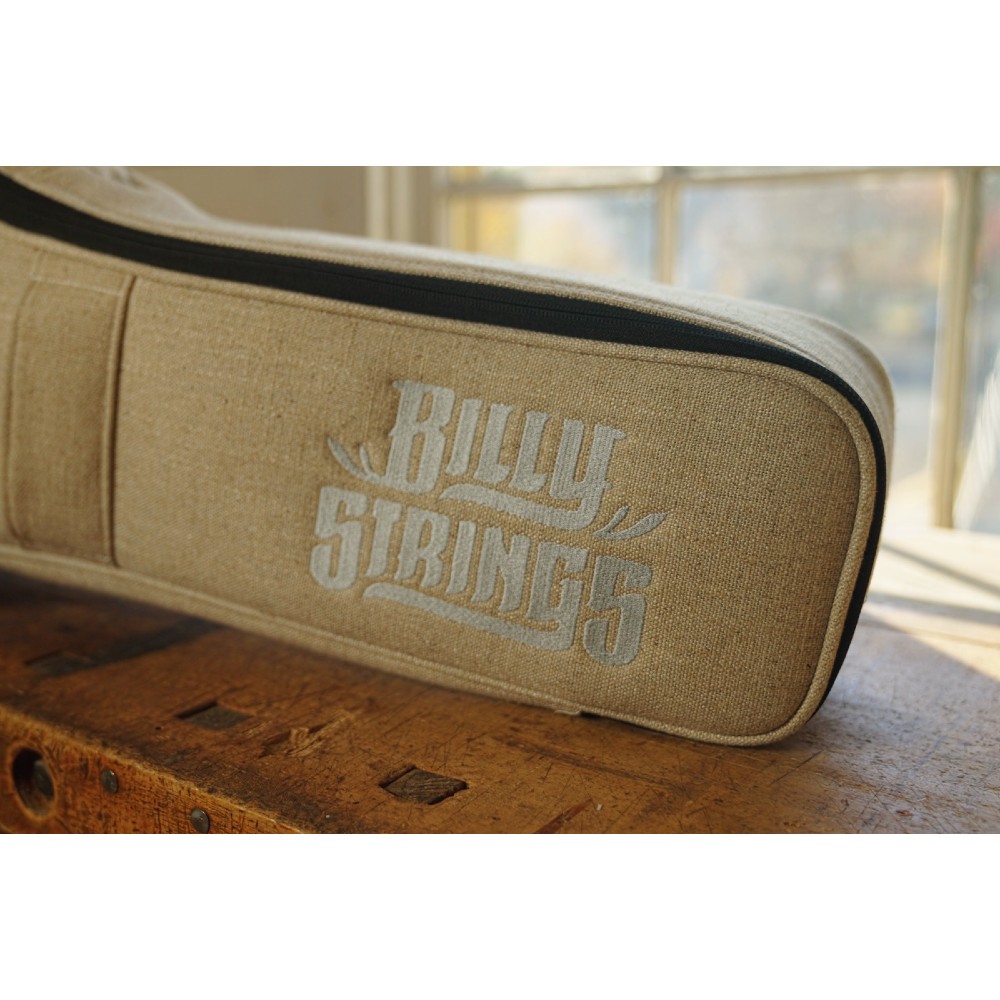 MARTIN D X2E Billy Strings case MARTIN D X2E Billy Strings