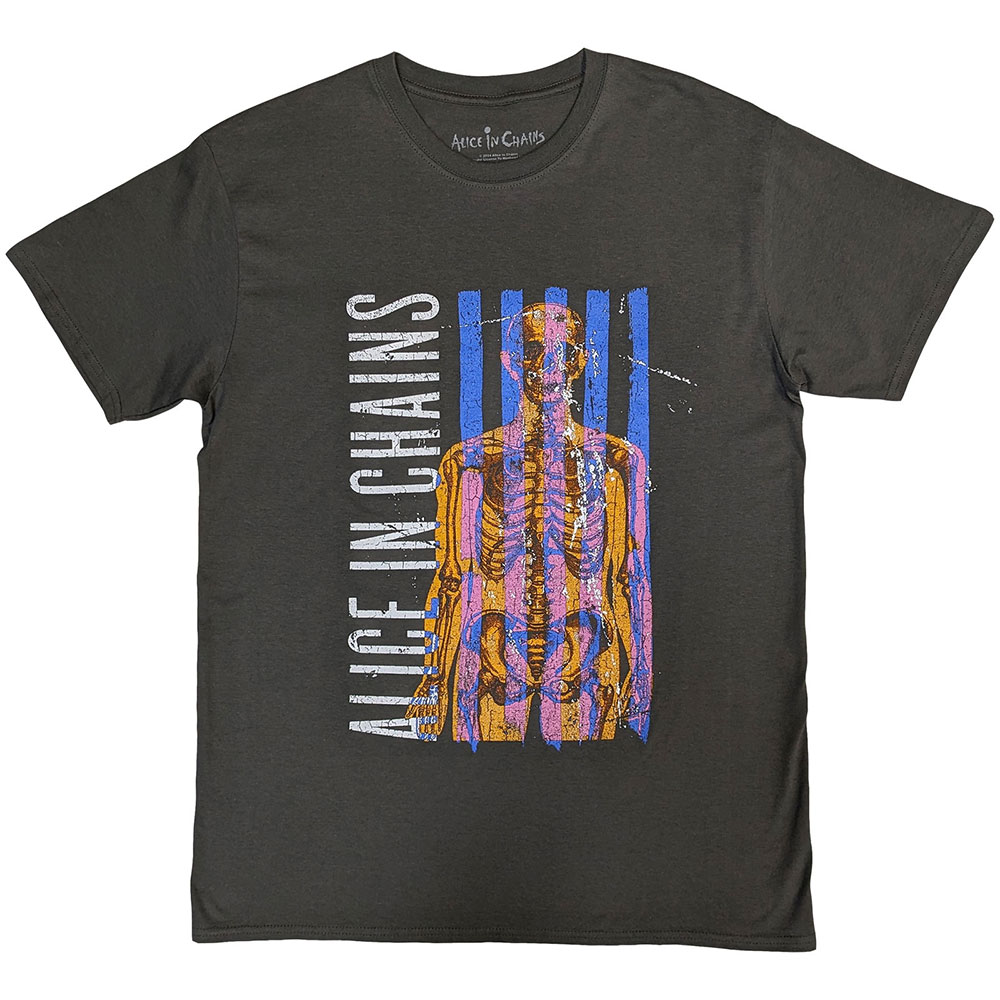 ALICE IN CHAINS Skeletal ALICE IN CHAINS Skeletal
