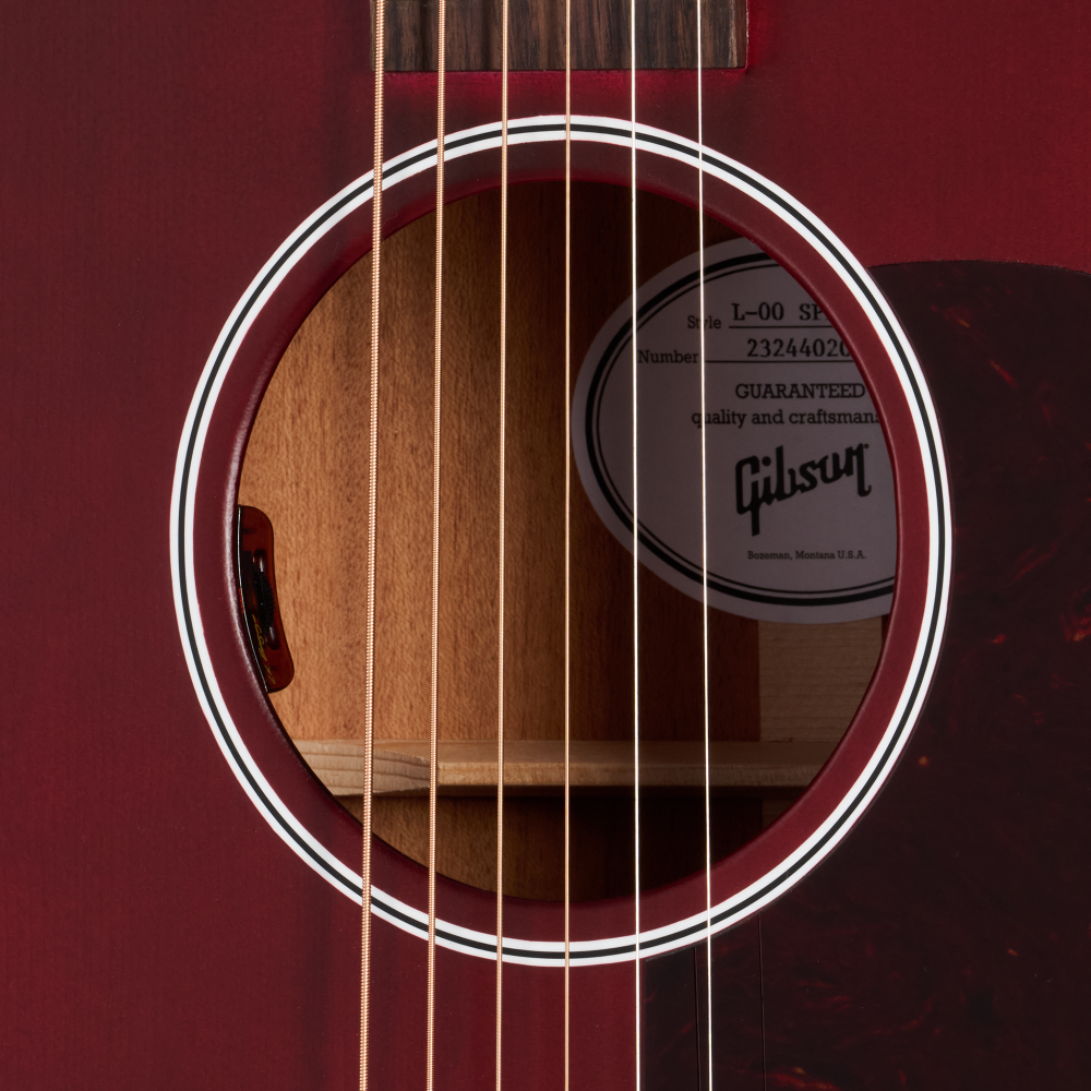 GIBSON L 00 Special h GIBSON L 00 Special