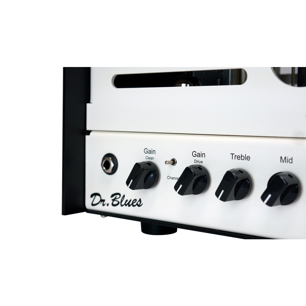 ACE AMPLIFICATION Dr Blues