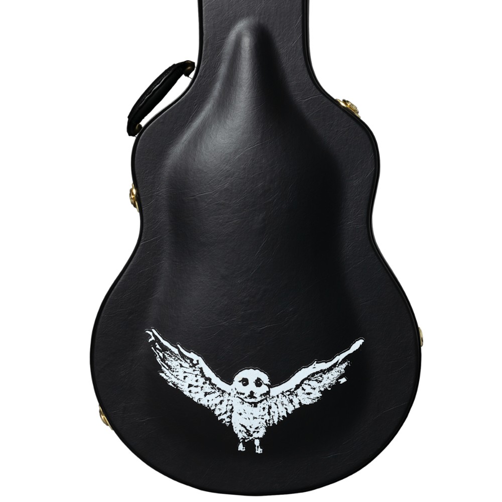EPIPHONE Jim James ES 335 EPIPHONE Jim James ES 335