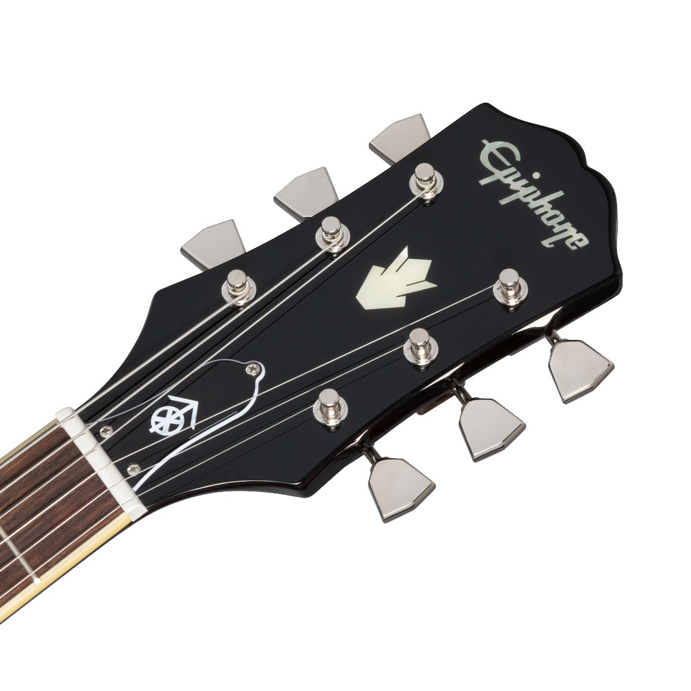 EPIPHONE Jim James ES 335 EPIPHONE Jim James ES 335