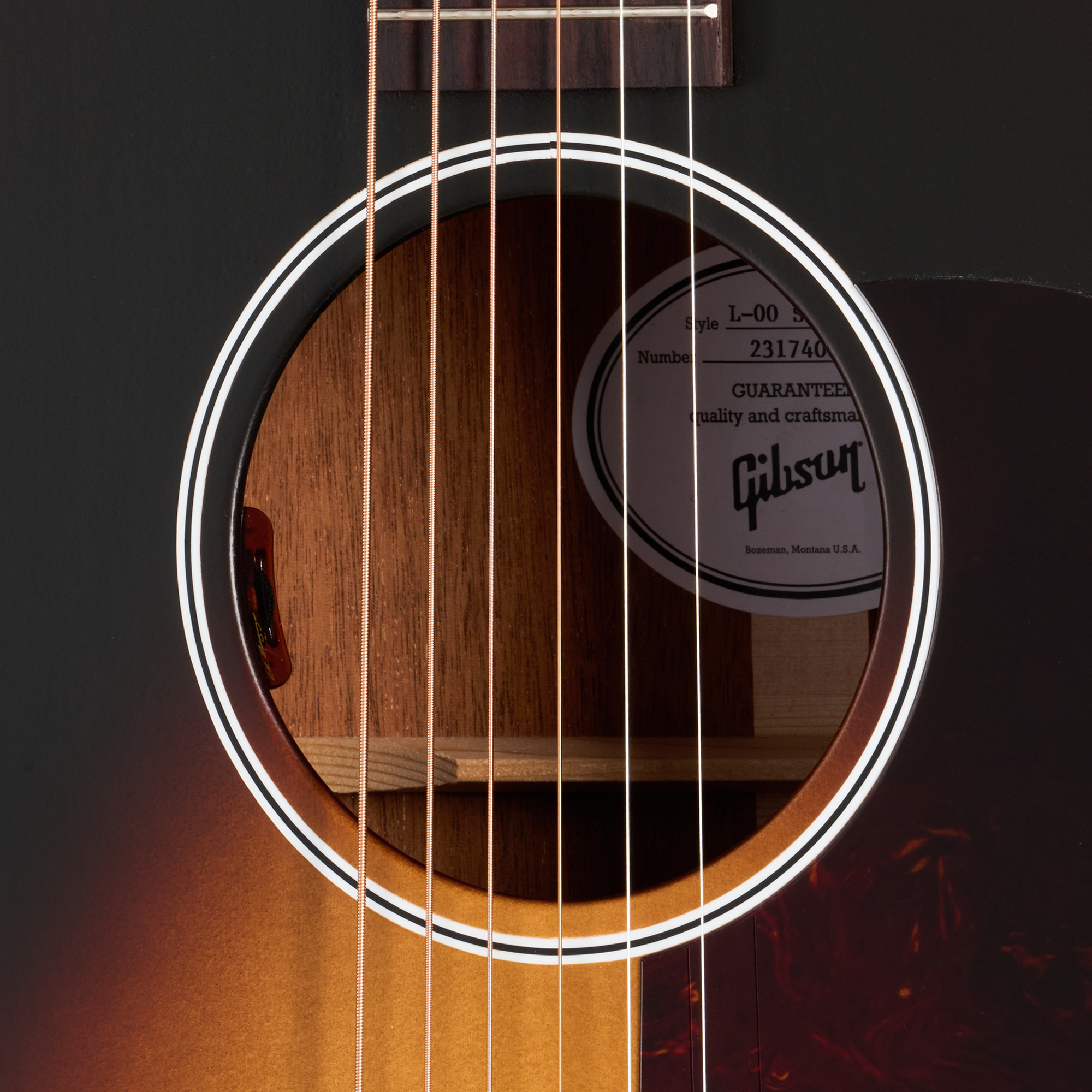 GIBSON L 00 Special GIBSON L 00 Special
