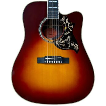 EPIPHONE Hummingbird Deluxe EC