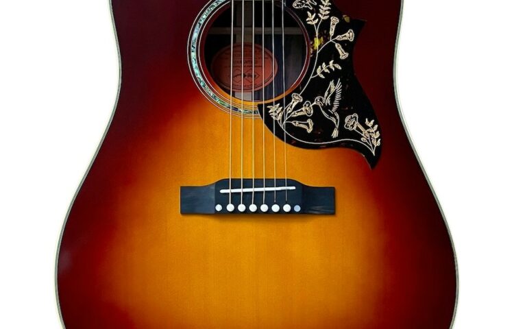 EPIPHONE Hummingbird Deluxe EC