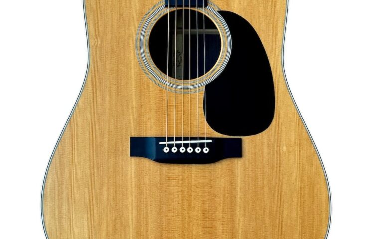 MARTIN D-28 Gloss Natural