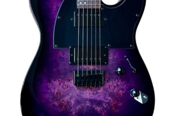 ESP LTD TE-200DX Purple Burst