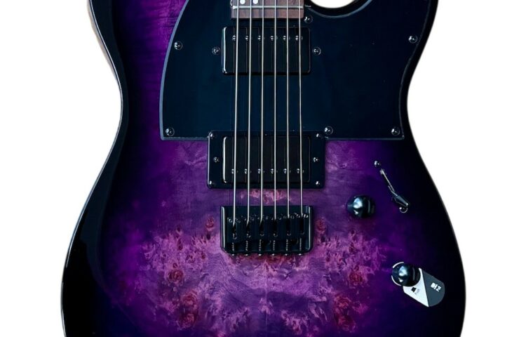 ESP LTD TE-200DX Purple Burst