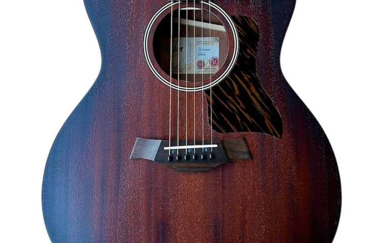 TAYLOR AD24ce Shaded Edge Burst Matte