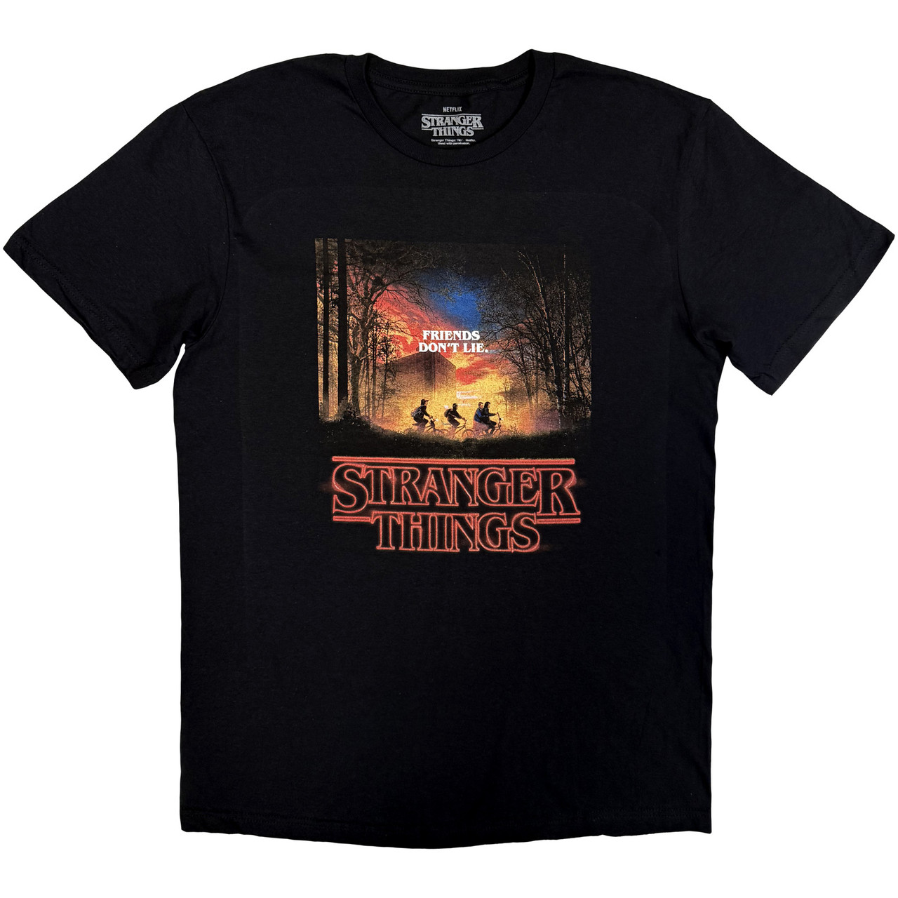 T-shirt STRANGER THINGS Friends Don't Lie T-shirt STRANGER THINGS Friends Don't Lie