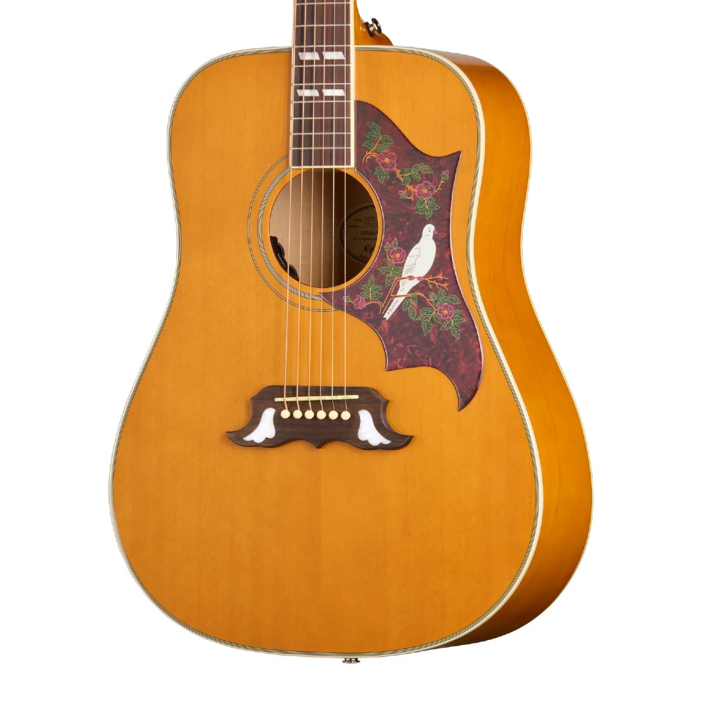 EPIPHONE Dove Studio Natural EPIPHONE Dove Studio Natural