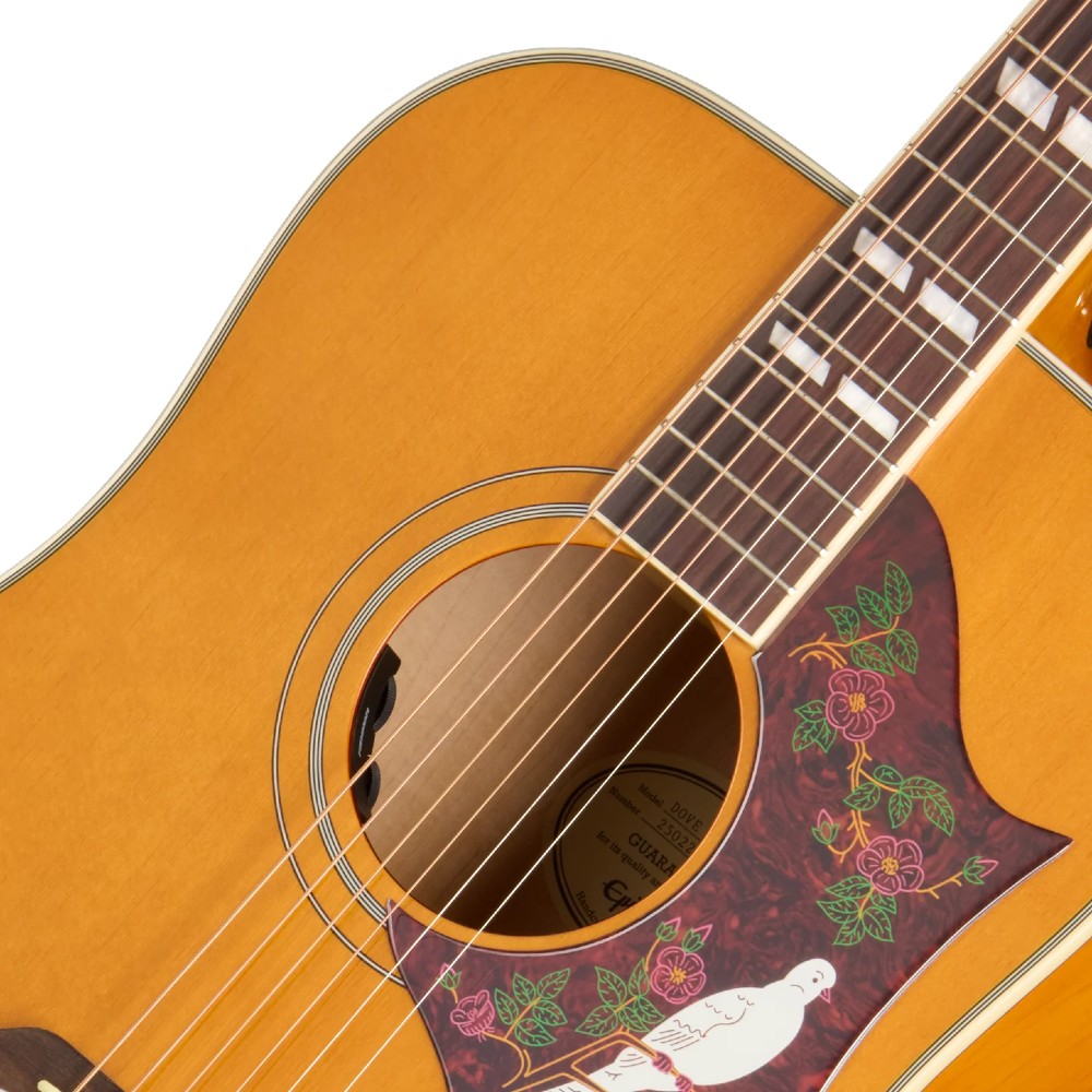 EPIPHONE Dove Studio Natural EPIPHONE Dove Studio Natural