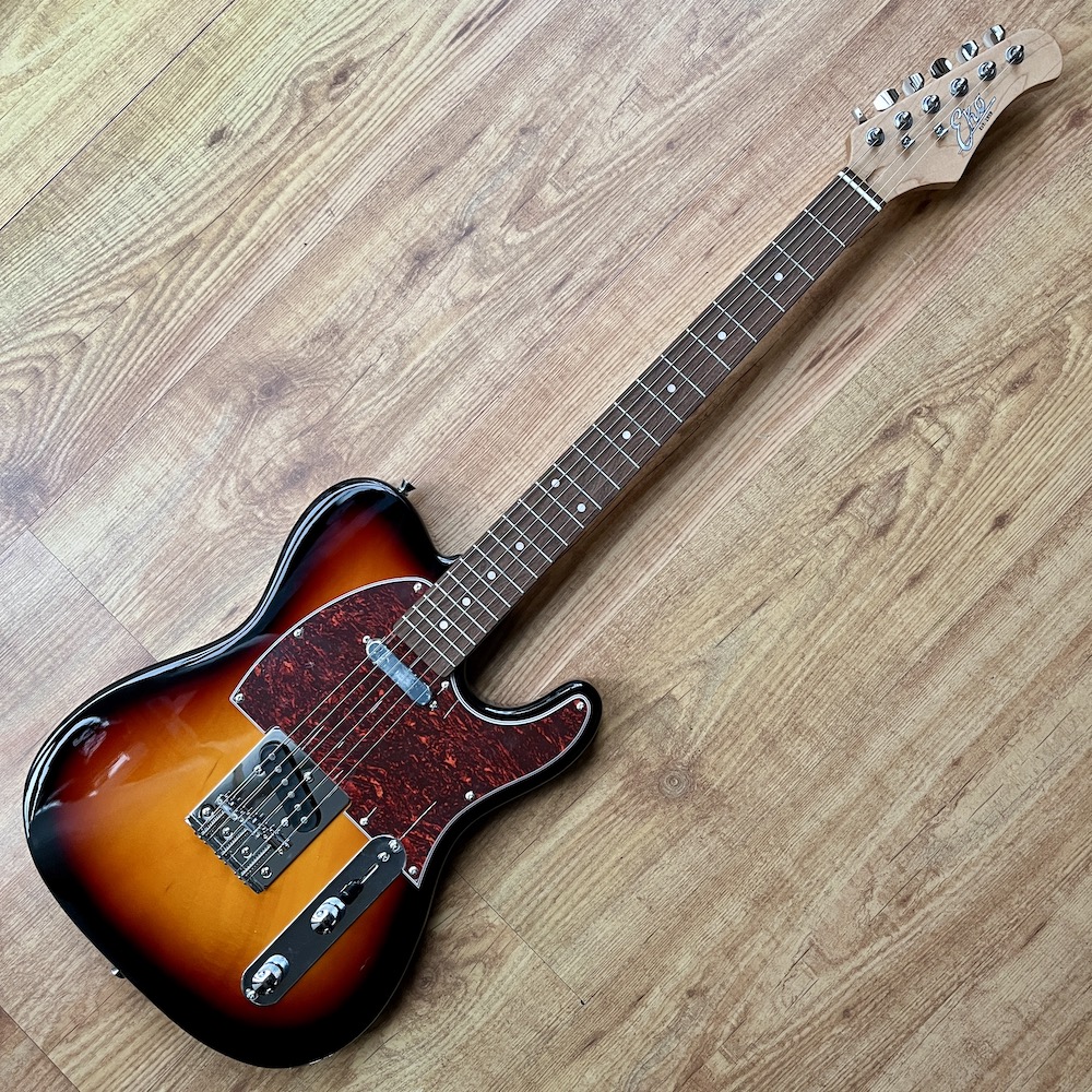 EKO TL-300 Sunburst - IMG_1661 EKO TL-300 Sunburst