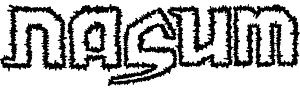 Nasum Logo