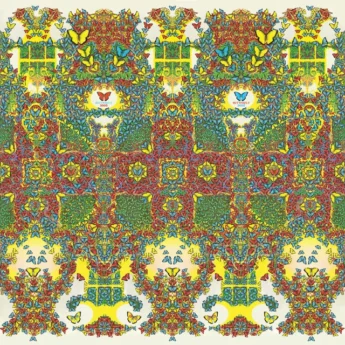 KING GIZZARD AND THE LIZARD WIZARD Butterfly 3000