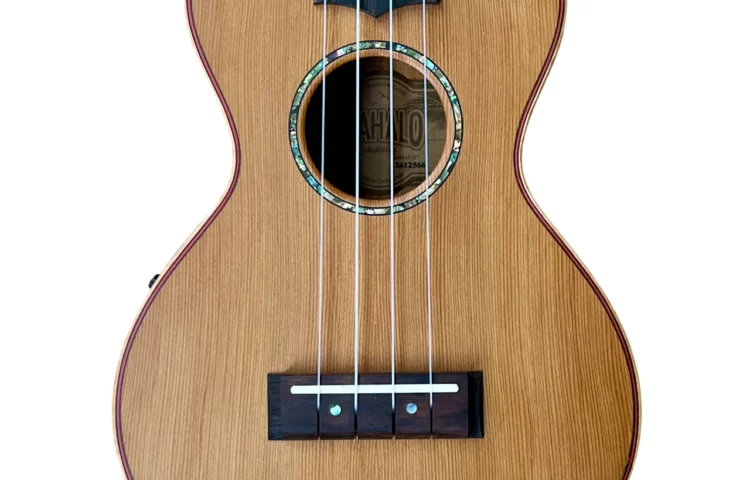 MAHALO Master Serie Concert Electro