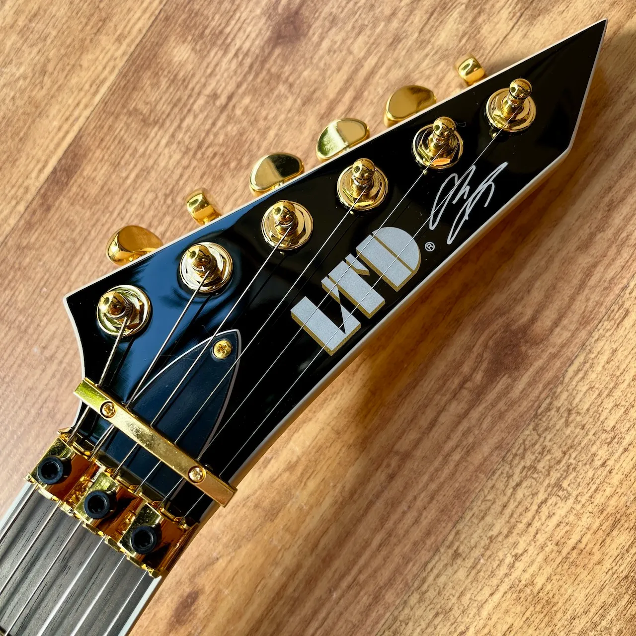 ESP LTD Alexi Laiho Arrowhead SE Black w:Yellow Pinstripe - IMG_3914 ESP LTD Alexi Laiho Arrowhead SE Black w/Yellow Pinstripe