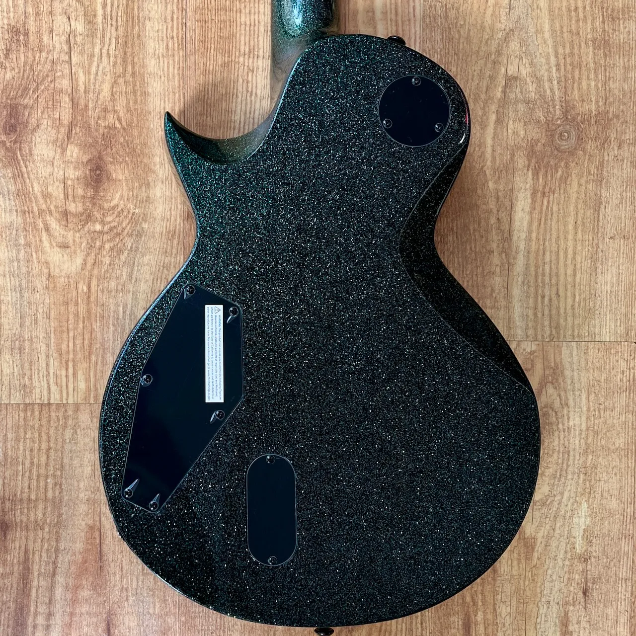 ESP LTD EC-1000 Granite Sparkle - IMG_3668 ESP LTD EC-1000 Granite Sparkle