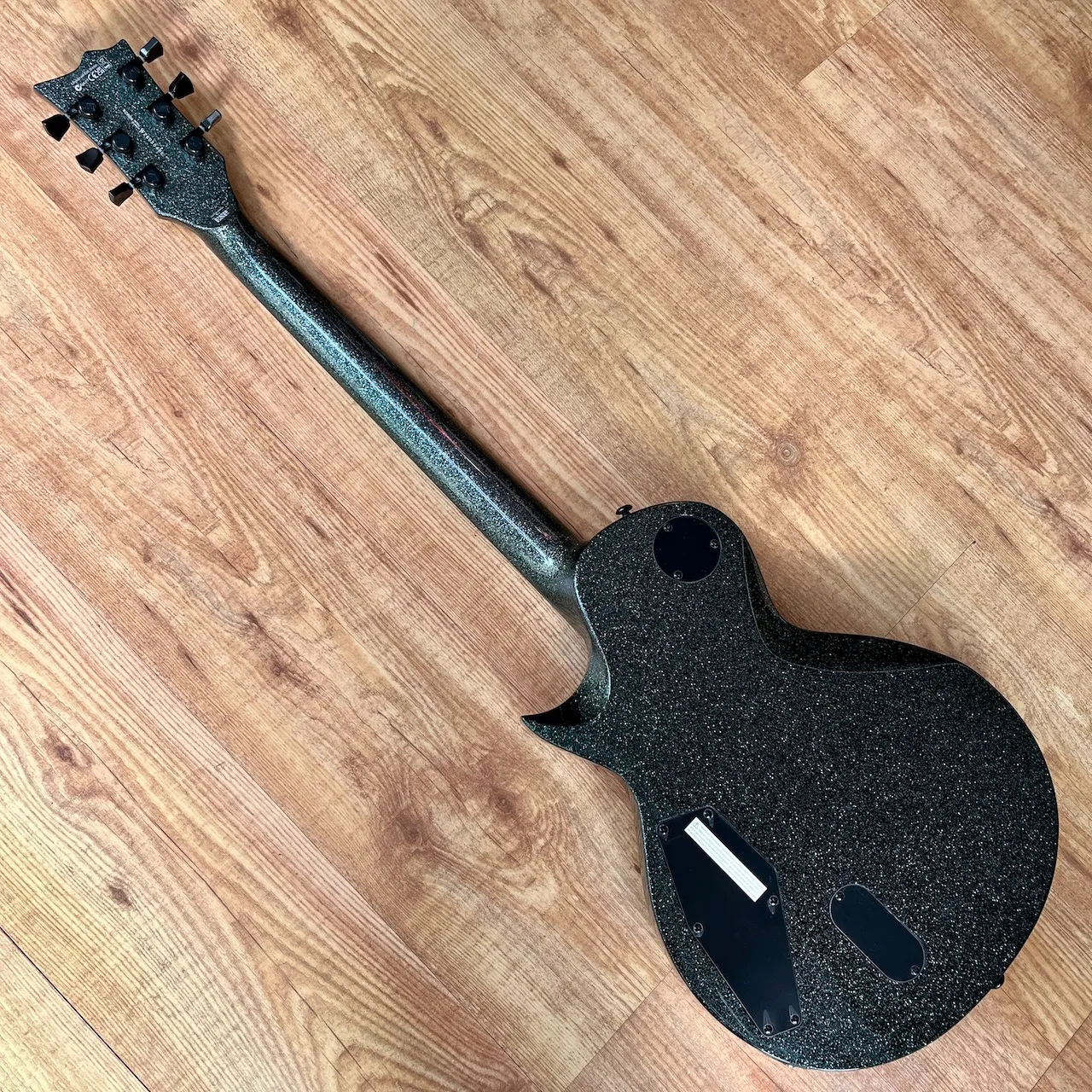 ESP LTD EC-1000 Granite Sparkle - IMG_3669 ESP LTD EC-1000 Granite Sparkle