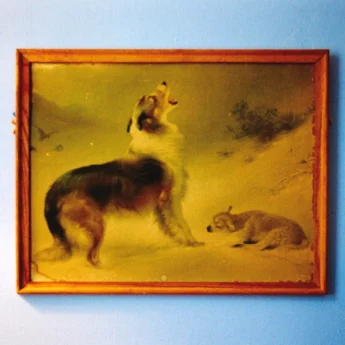 EXPLOSIONS IN THE SKY The Rescue