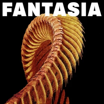 SLIFT Fantasia