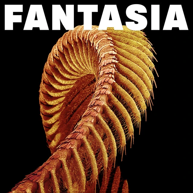 SLIFT Fantasia SLIFT Fantasia